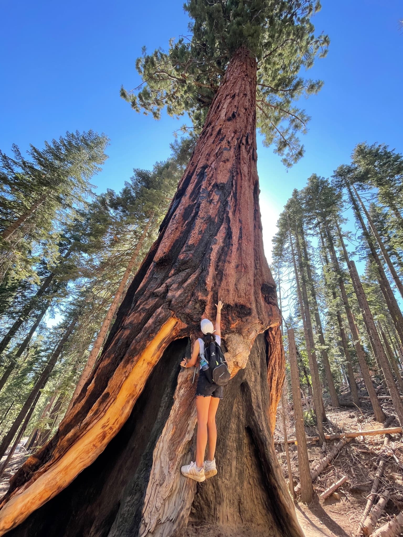 Hiking and National Parks